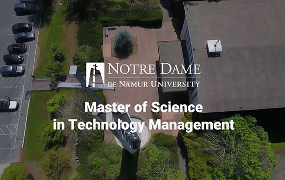 Master of Science in Technology Management (MSTM)